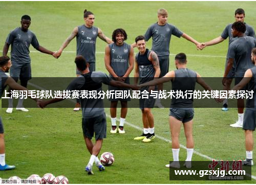 上海羽毛球队选拔赛表现分析团队配合与战术执行的关键因素探讨