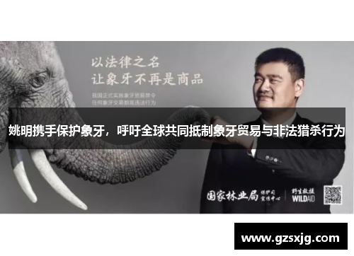姚明携手保护象牙，呼吁全球共同抵制象牙贸易与非法猎杀行为
